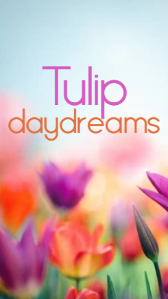 Tulip Daydreams